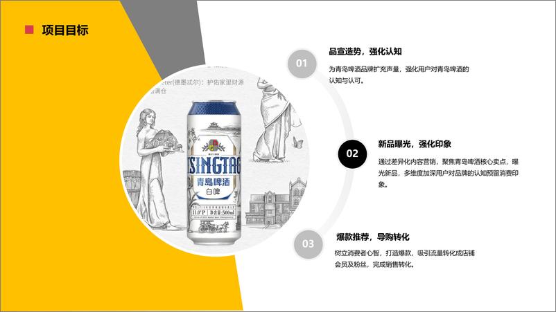 《2020啤酒品牌天猫旗舰店内容营销方案》 - 第5页预览图