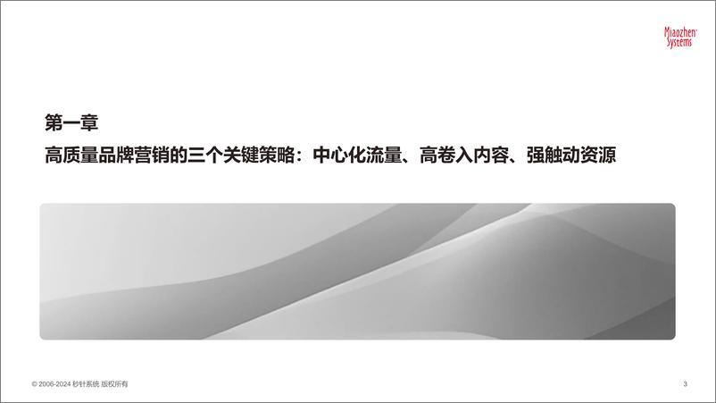 《2024年中国数字内容营销策略研究》 - 第3页预览图