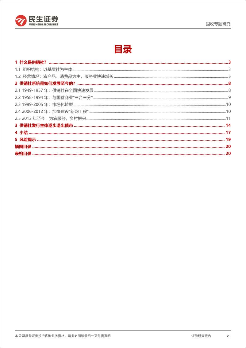 《利率专题：还有多少”供销社债“？-20221115-民生证券-21页》 - 第3页预览图