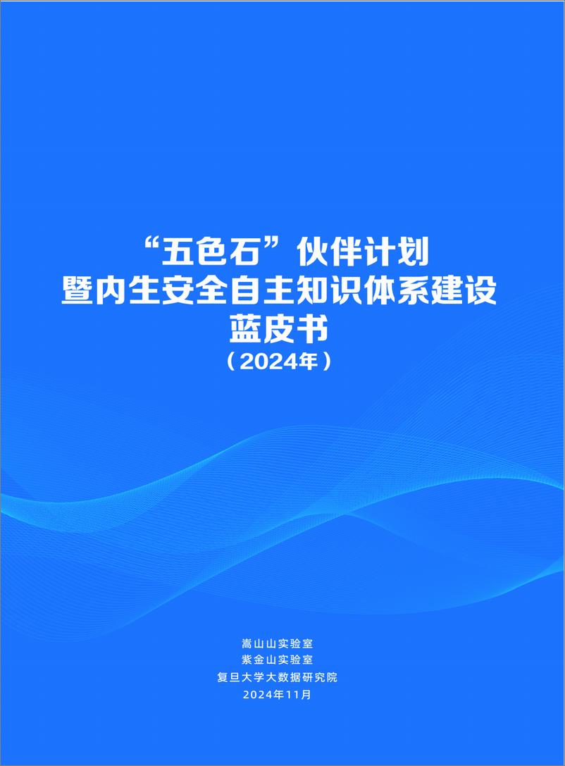 《_五色石_伙伴计划暨内生安全自主知识体系建设蓝皮书_2024年_》 - 第1页预览图