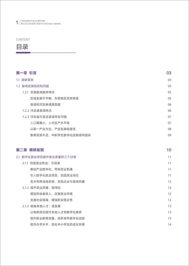 《清华大学-欠发达县域数字化就业价值研究报-36页》 - 第4页预览图