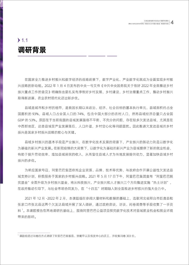 《清华大学-欠发达县域数字化就业价值研究报-36页》 - 第7页预览图