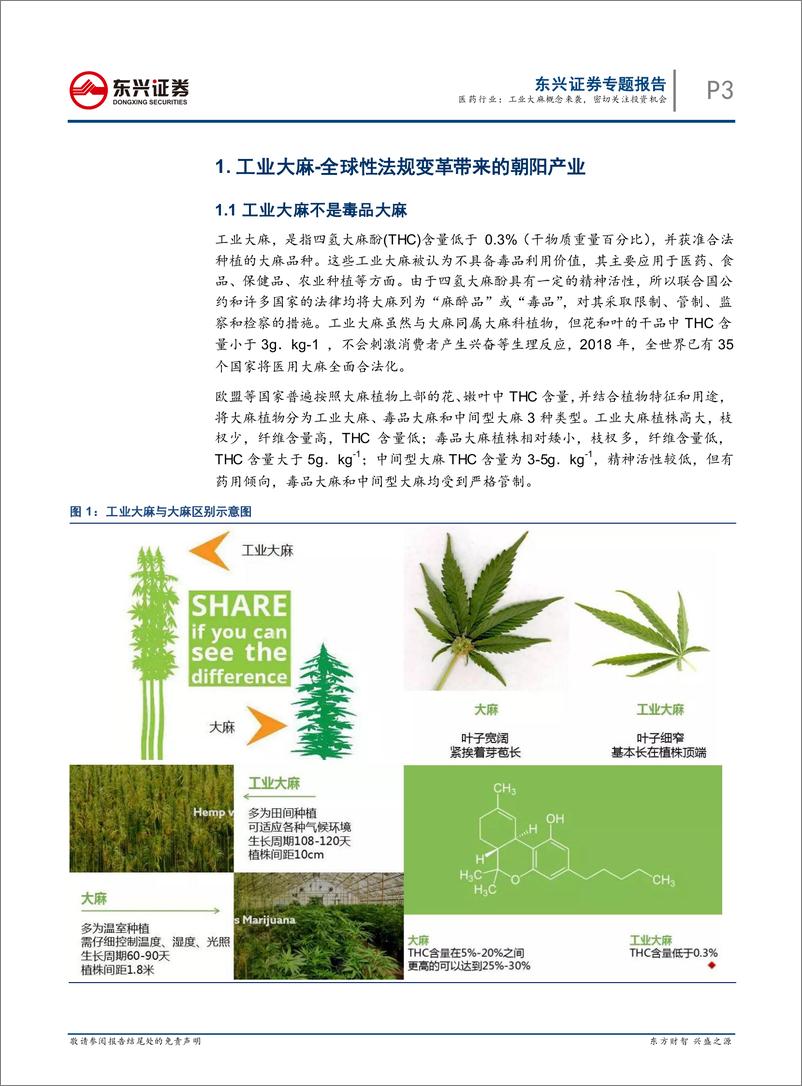 《医药行业专题报告：工业大麻概念来袭，密切关注投资机会-20190225-东兴证券-15页》 - 第4页预览图