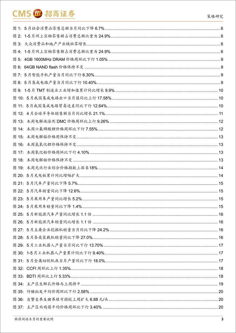 《行业景气观察：5月消费数据回暖，新能源车产销保持较高增速-20220615-招商证券-35页》 - 第4页预览图