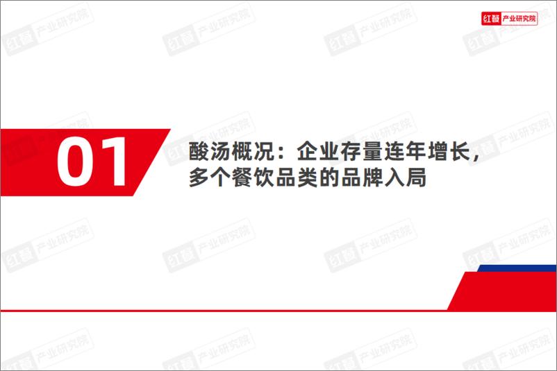 《酸汤风味观察报告2024-39页》 - 第3页预览图