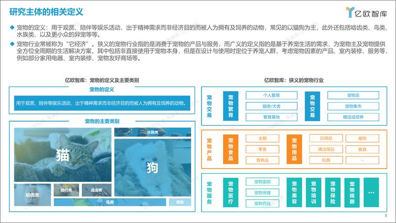 《2023中国宠物行业新趋势洞察 - 0718》 - 第3页预览图