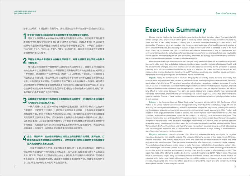 《中国可再生能源与生物多样性协同发展的机遇与挑战》 - 第8页预览图