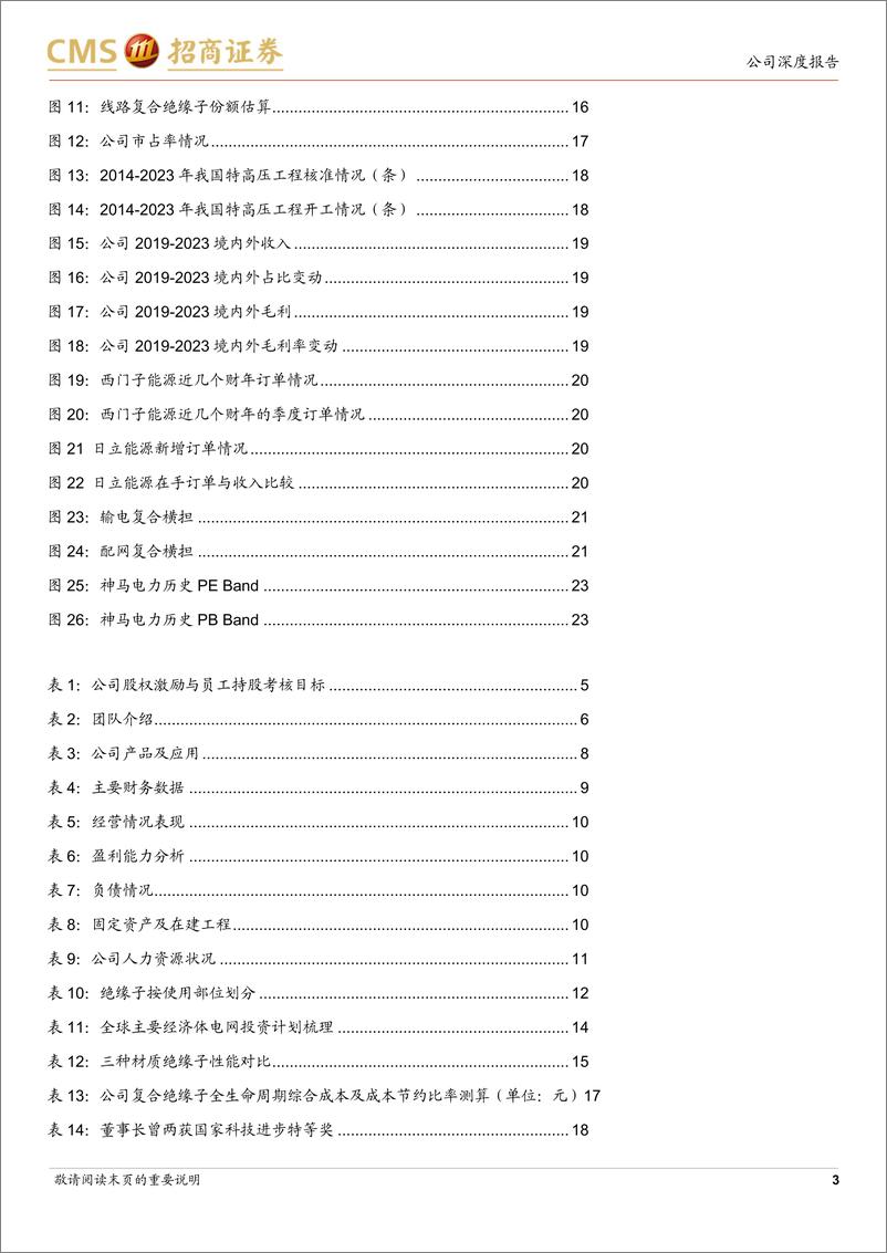 《神马电力(603530)复合绝缘子领先企业，海外业务有望推动公司上台阶-240611-招商证券-25页》 - 第3页预览图