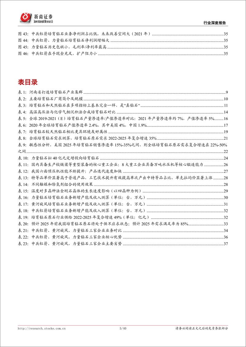 《培育钻石行业：渗透率低，原石龙头成长空间大-20220420-浙商证券-40页》 - 第6页预览图