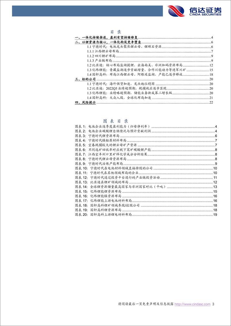 《电力设备与新能源行业电池专题报告（一）：一体化进程加速，原材料成为竞争力核心要素-20230119-信达证券-25页》 - 第4页预览图