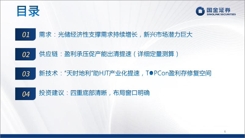 《新能源(光储风氢)行业2024年中期策略：全球降碳坚定不移，成本、技术双轮驱动-240602-国金证券-110页》 - 第6页预览图