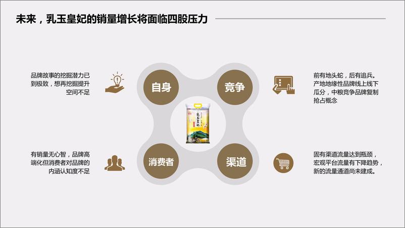 《乳玉皇妃电商推广提案【食品饮料】【电商】》 - 第4页预览图