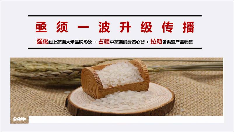 《乳玉皇妃电商推广提案【食品饮料】【电商】》 - 第5页预览图