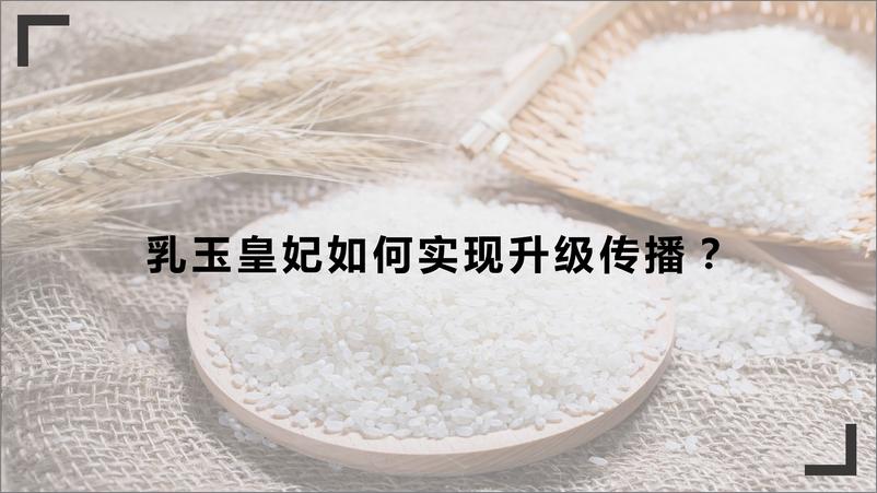 《乳玉皇妃电商推广提案【食品饮料】【电商】》 - 第6页预览图