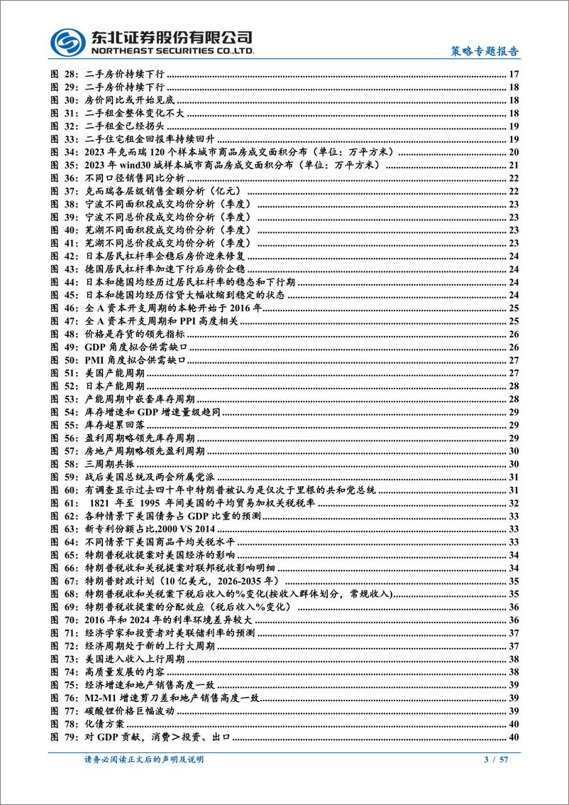 《2025年度策略展望：乍暖还寒，待东方白-241120-东北证券-57页》 - 第3页预览图