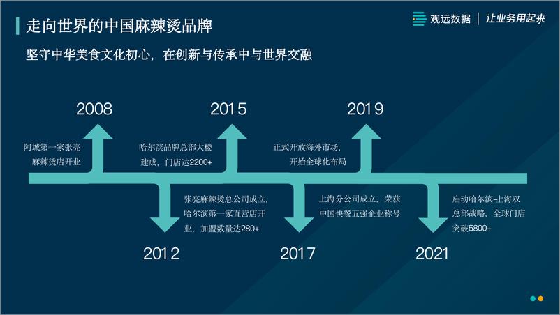 《张亮麻辣烫如何通过数据洞察驱动业务增长-17页》 - 第5页预览图