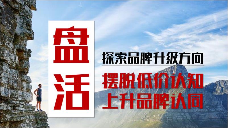 《老村长品牌升级规划提报FA【食品饮料】【白酒】【品牌战略】》 - 第6页预览图