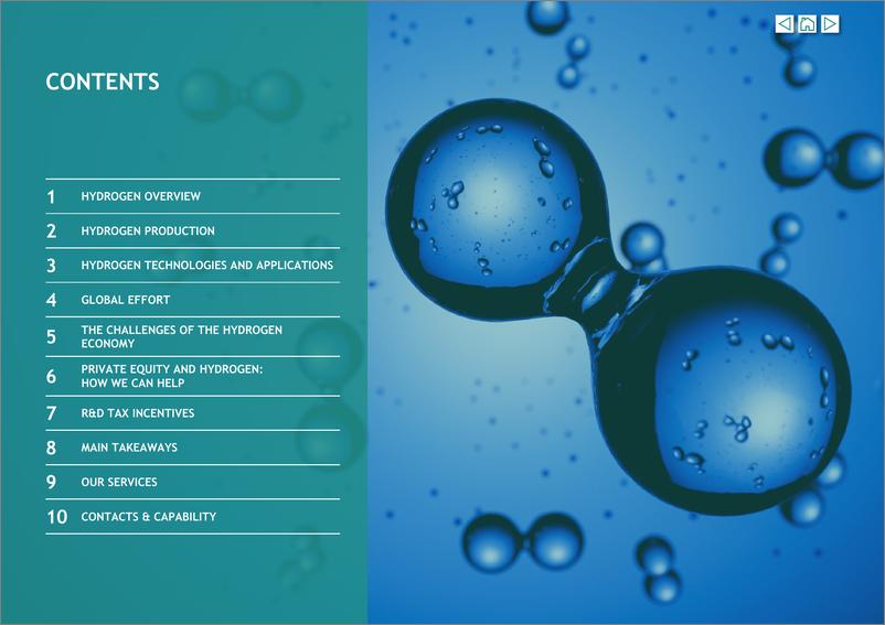 《立信_BDO __2023年氢能的未来研究报告_英文版_》 - 第2页预览图