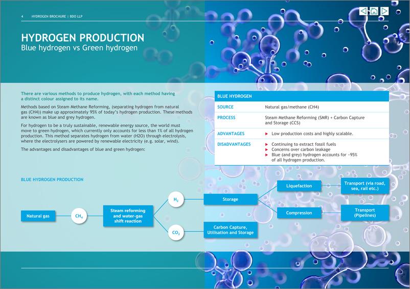 《立信_BDO __2023年氢能的未来研究报告_英文版_》 - 第4页预览图