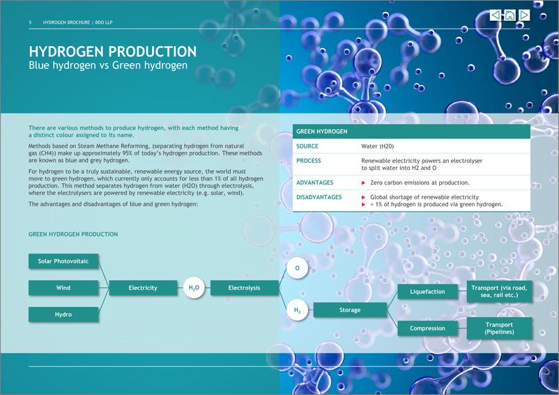 《立信_BDO __2023年氢能的未来研究报告_英文版_》 - 第5页预览图
