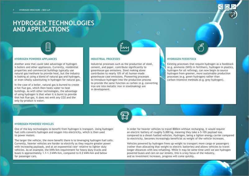 《立信_BDO __2023年氢能的未来研究报告_英文版_》 - 第7页预览图
