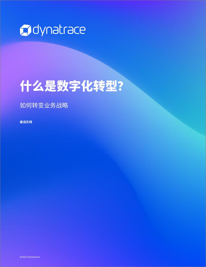 《如何通过数字化转型转变业务战略》 - 第1页预览图