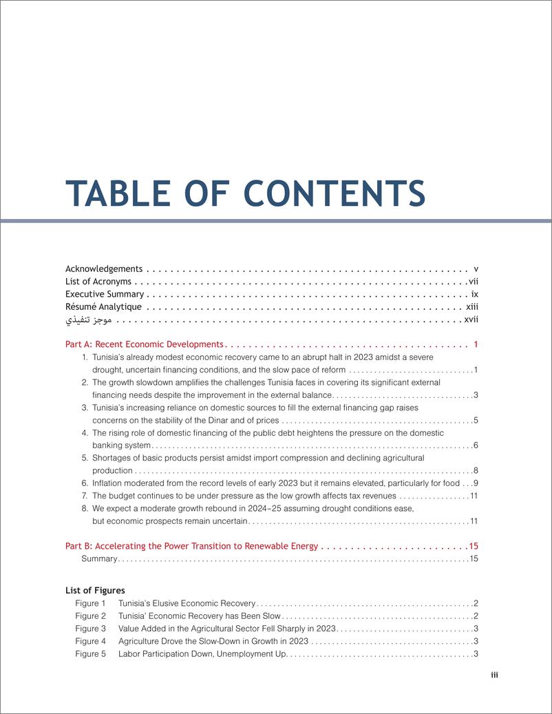 《世界银行-突尼斯经济监测，2024年春季：可再生能源对经济的贡献（英）-42页》 - 第5页预览图