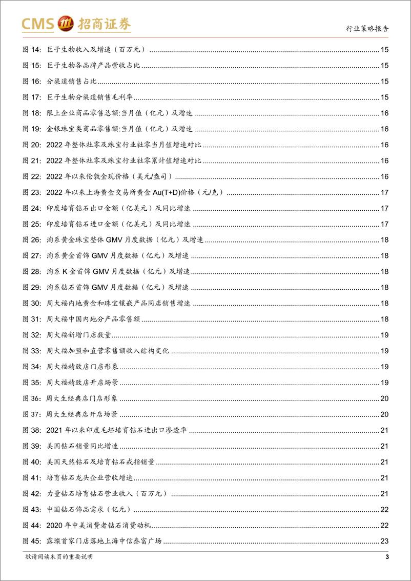 《化妆品&黄金珠宝行业2023年度投资策略：疫情下行业分化明显，龙头品牌韧性更强-20221114-招商证券-26页》 - 第4页预览图