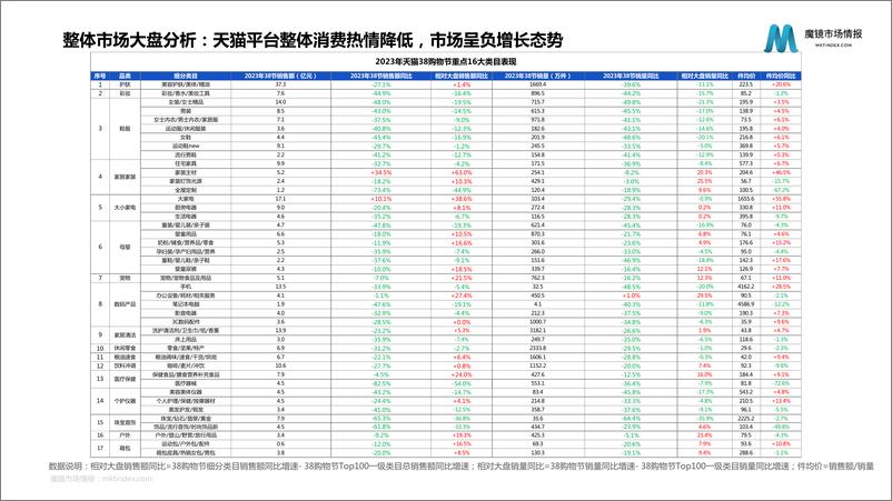 《2023天猫38购物节细分赛道表现-51页》 - 第4页预览图