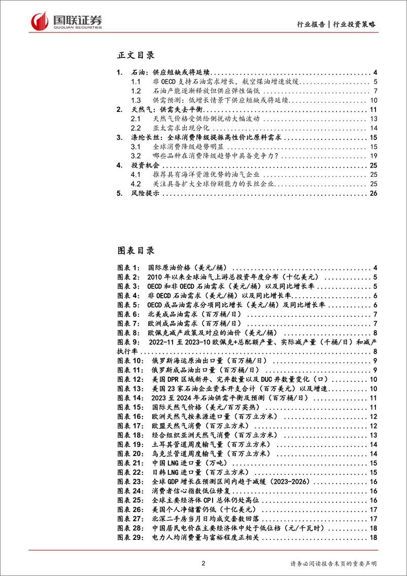 《石油石化2024年投资策略：紧抓上游资源与消费降级两条主线-国联证券》 - 第2页预览图