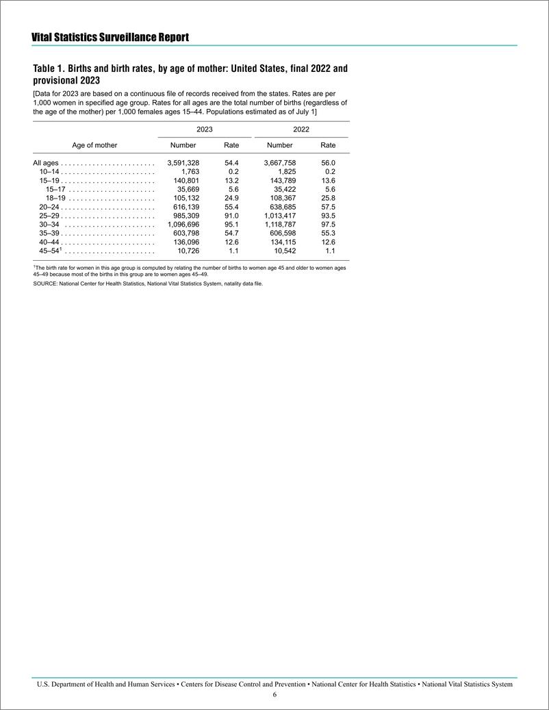 《2023年美国出生率统计报告（英）-10页》 - 第6页预览图