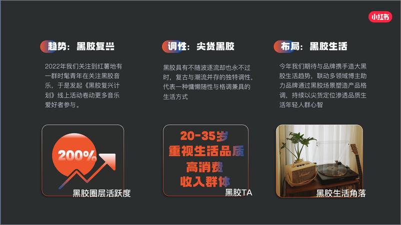 《小红书黑胶计划2.0通案》 - 第2页预览图