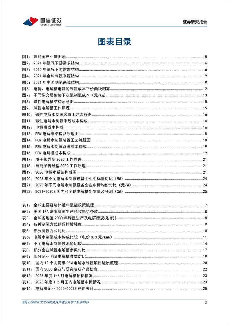 《氢能行业专题研究之三：制氢电解槽，绿电制氢蓬勃发展，电解槽产业化进程加速-20230707-国信证券-34页》 - 第4页预览图