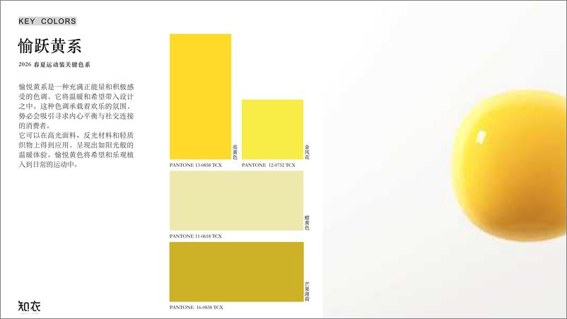 《知衣数据_2026年春夏运动装色彩趋势报告》 - 第3页预览图