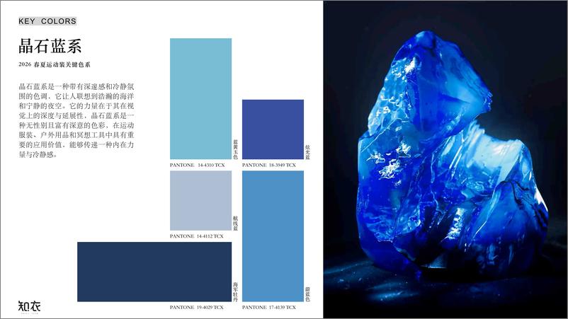 《知衣数据_2026年春夏运动装色彩趋势报告》 - 第5页预览图