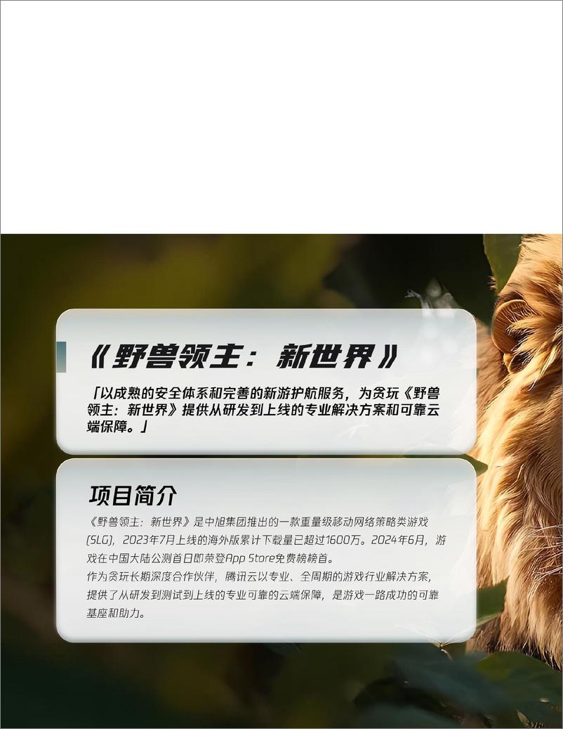 《2024腾讯游戏云案例实践——让游戏研发运维更简单-55页》 - 第8页预览图