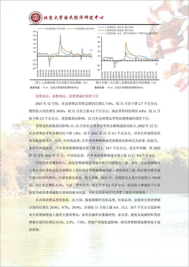 《政策支撑叠加基数效应，经济继续复苏-北大经济研究所》 - 第6页预览图