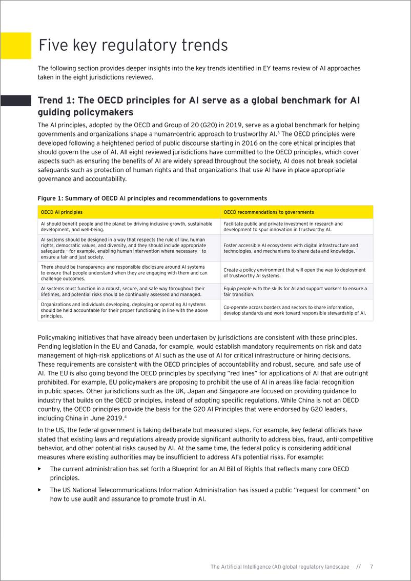 《EY+人工智能的全球监管格局-英-21页》 - 第8页预览图