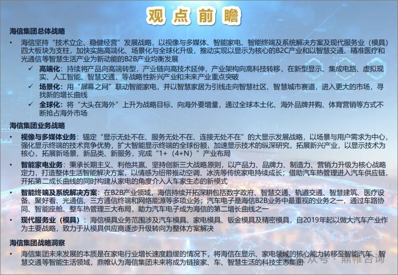 《鼎帷咨询_2024海信集团发展战略研究报告》 - 第2页预览图