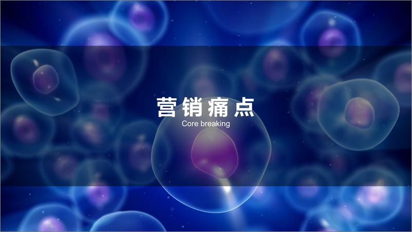 《易文赛2021营销策划方案【大健康】【保健】》 - 第4页预览图