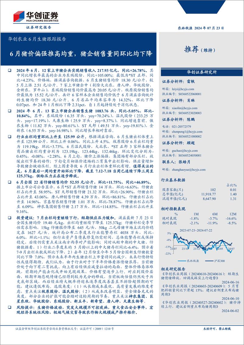 《华创农业6月生猪跟踪报告：6月猪价偏强推高均重，猪企销售量同环比均下降-240723-华创证券-11页》 - 第1页预览图