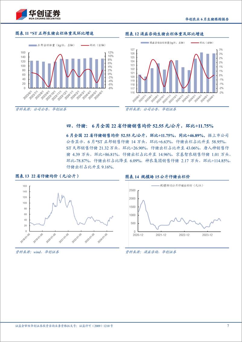 《华创农业6月生猪跟踪报告：6月猪价偏强推高均重，猪企销售量同环比均下降-240723-华创证券-11页》 - 第7页预览图