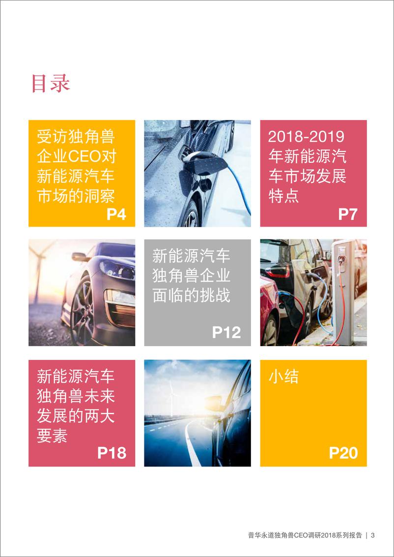 《普华永道-新能源汽车独角兽报告-2019.5-24页》 - 第3页预览图