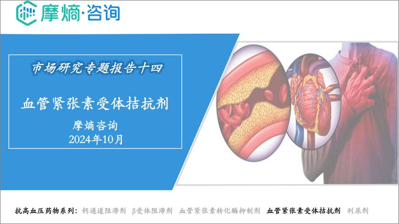 《2024年市场研究专题报告十四-血管紧张素受体拮抗剂》 - 第1页预览图