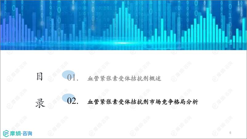 《2024年市场研究专题报告十四-血管紧张素受体拮抗剂》 - 第6页预览图