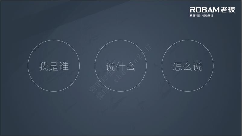 《老板电器2017年度品牌传播全案》 - 第4页预览图