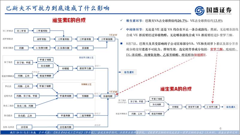 《基础化工行业深度：为什么我们坚定看好VE-240818-国盛证券-12页》 - 第6页预览图