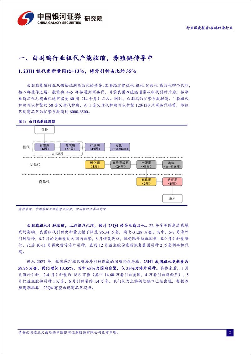 《农林牧渔行业“读懂鸡周期” 系列报告一：禽流感下种源紧张或持续，静待养殖链下游拐点到来-20230723-银河证券-20页》 - 第4页预览图