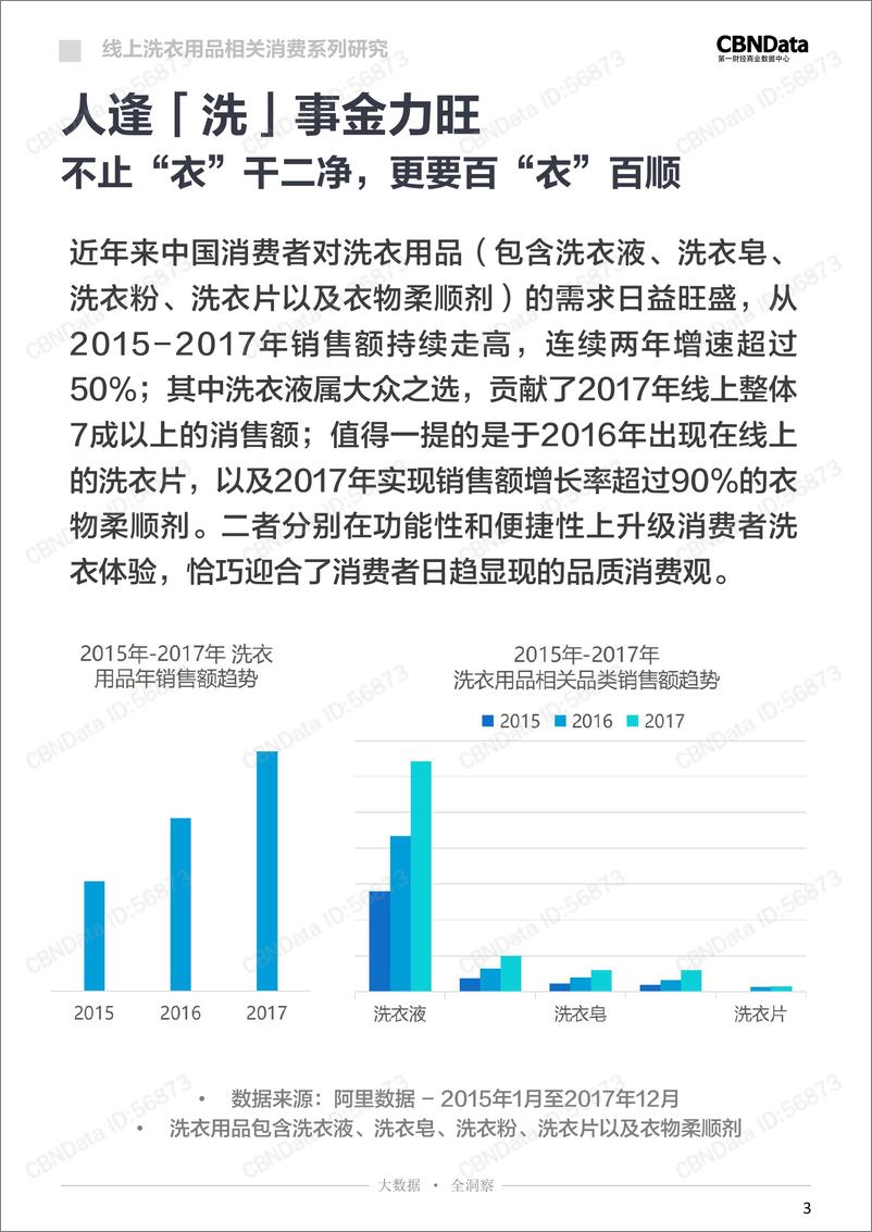 《2017线上洗衣用品相关消费系列研究》 - 第3页预览图