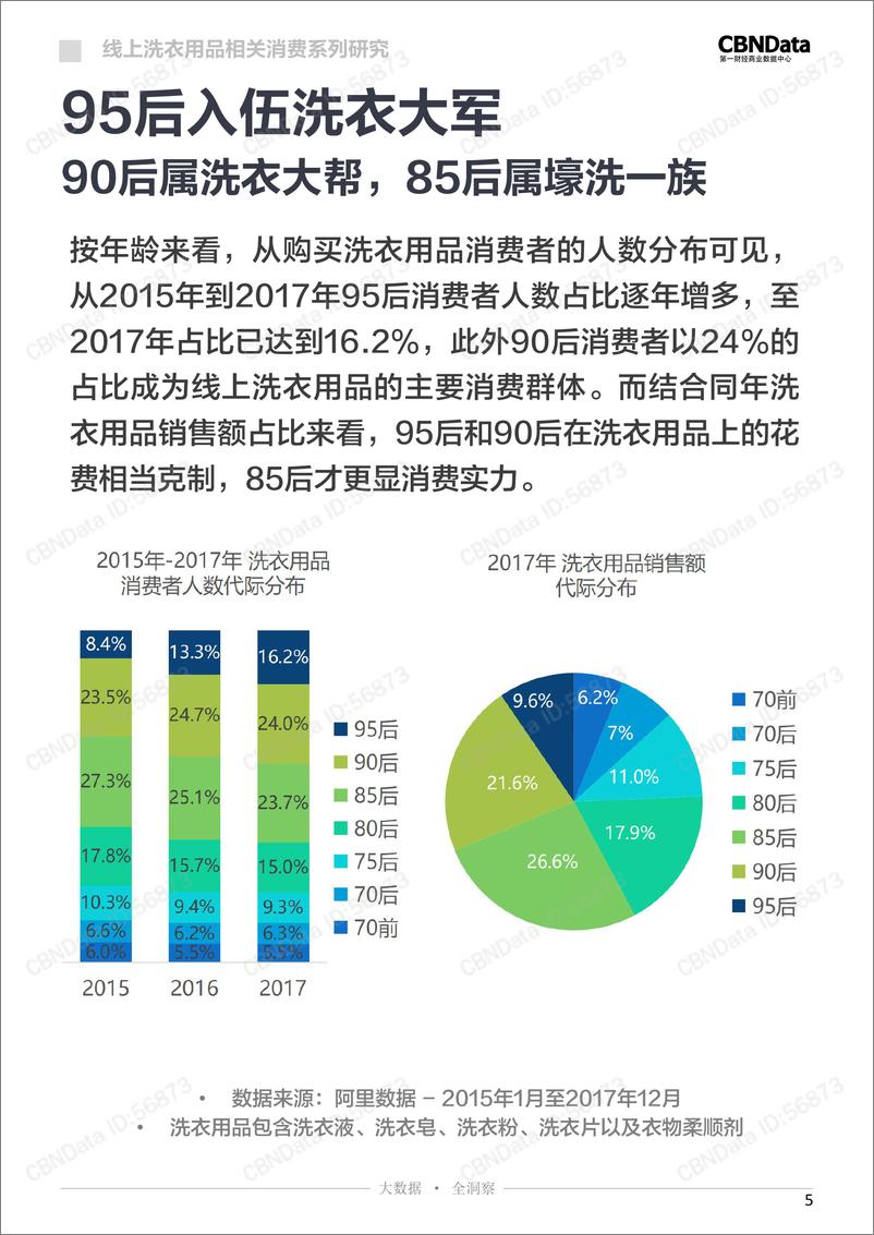 《2017线上洗衣用品相关消费系列研究》 - 第5页预览图